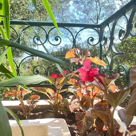 Le Soleil D'or Apartamento Théoule-sur-Mer