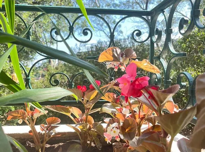 Le Soleil D'or Daire Théoule-sur-Mer