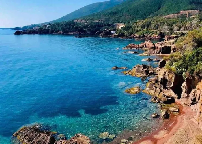 Le Soleil D'or Daire *